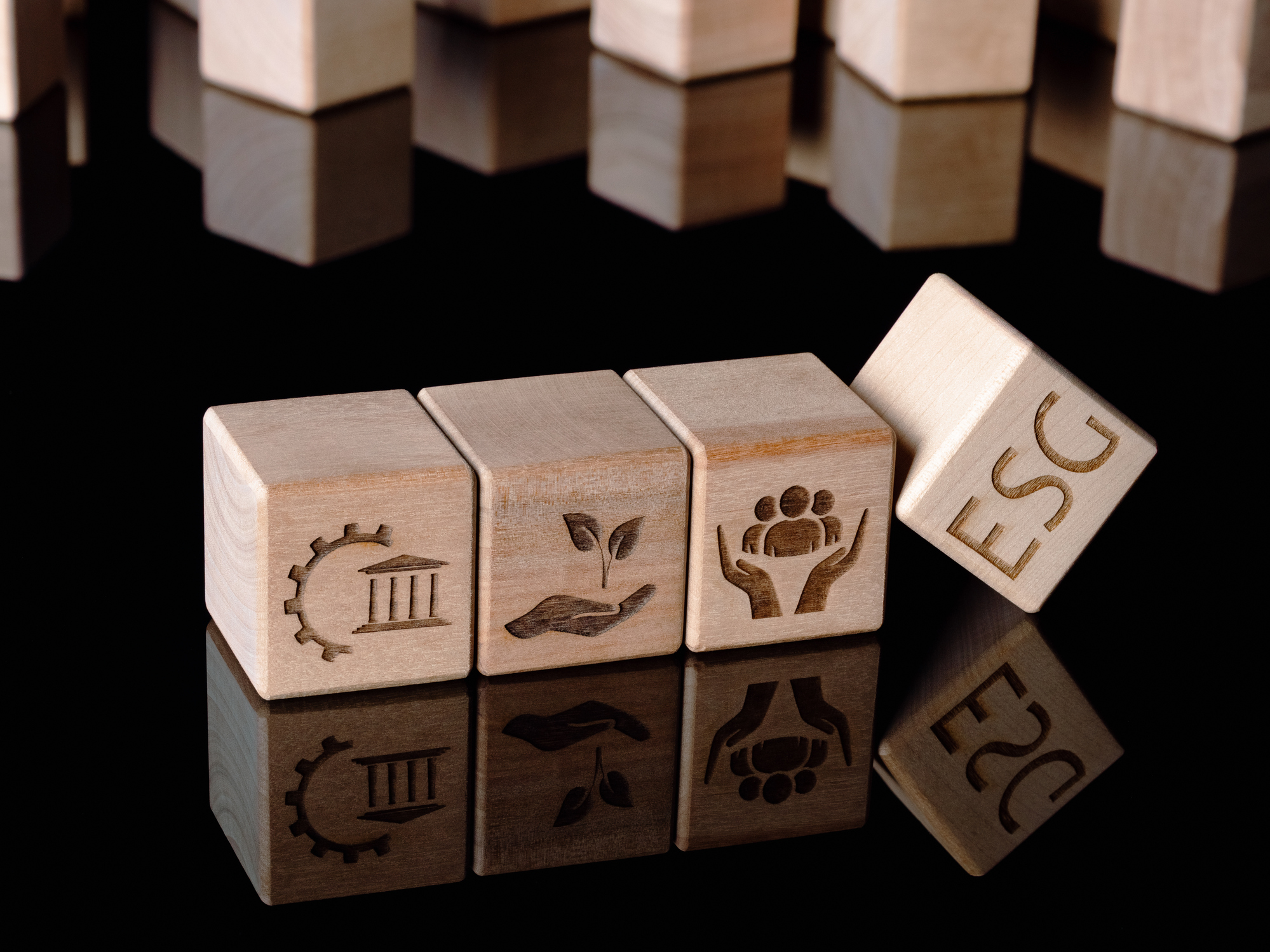 Responsabilidade social, legal e ambiental marcam 15 anos da Tecnobank