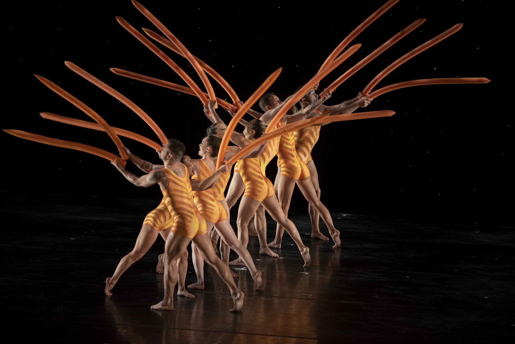 Companhia que revolucionou a dança contemporânea realiza espetáculo único em Curitiba, patrocinado pela Tecnobank